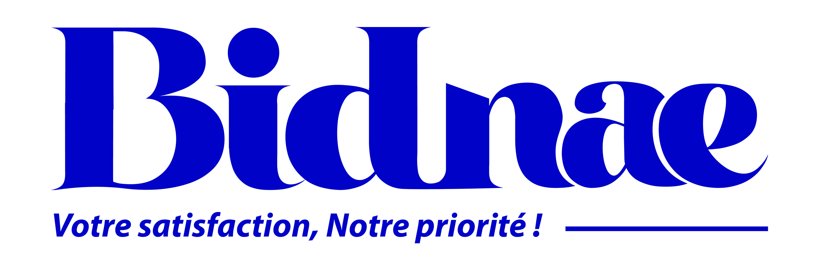 BIDNAE SARL